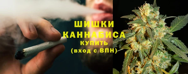 ПСИЛОЦИБИНОВЫЕ ГРИБЫ Елабуга