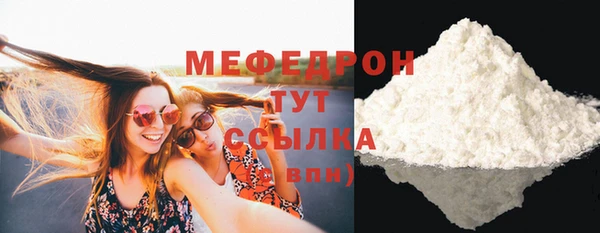 МДПВ Ельня