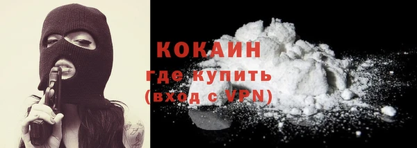 МДПВ Ельня