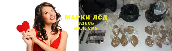 ПСИЛОЦИБИНОВЫЕ ГРИБЫ Елабуга