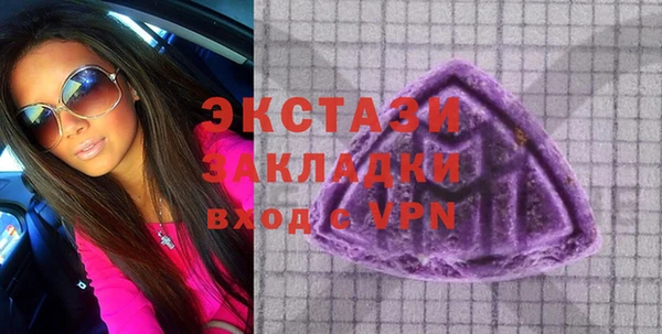 МДПВ Ельня