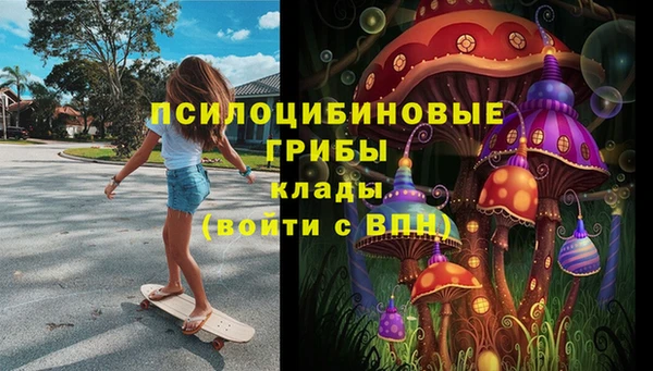 ПСИЛОЦИБИНОВЫЕ ГРИБЫ Елабуга