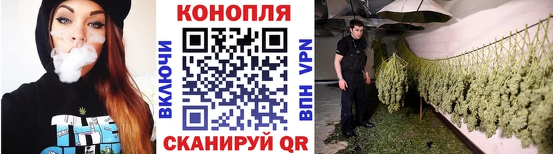 купить  сайты  Конаково  Бошки марихуана гибрид 